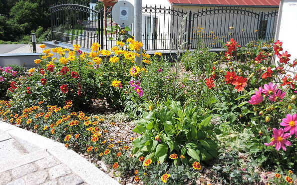 Seeoase Lychen, Foto: Ellen Meier, Lizenz: TI Lychen