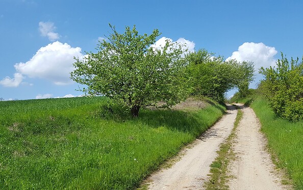Remise am Mühlenbach, Foto:  Jana Knaack