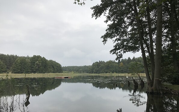 Kolbatzer Mühle, mill pond, Foto: Anet Hoppe