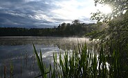 Lake Mellensee, Foto: Annina Bode, Lizenz: Mittelelbe Tourismus GmbH