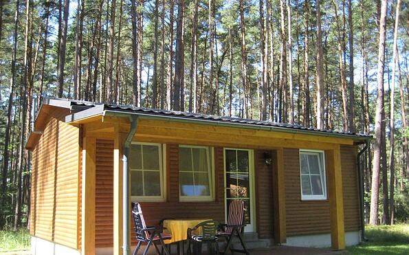 Holiday surrounded by pine forest, Foto: Dirk Hockauf, Lizenz: Dirk Hockauf