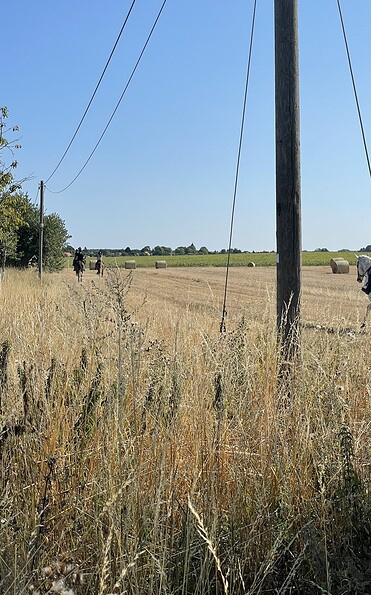 Reitunterricht, Foto: Jenna Benzin