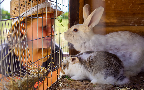 Rabbits, Foto:  Juliane Kummerow, Lizenz: Ferienpark Templin GmbH &amp; Co. KG