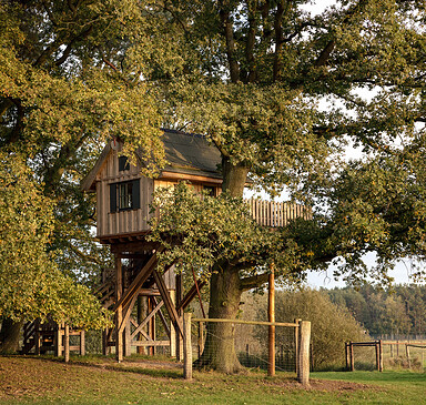 Baumhaus Hexenhaus, Foto: Lisa Wurth, Lizenz: Baumhaushotel Uckermark