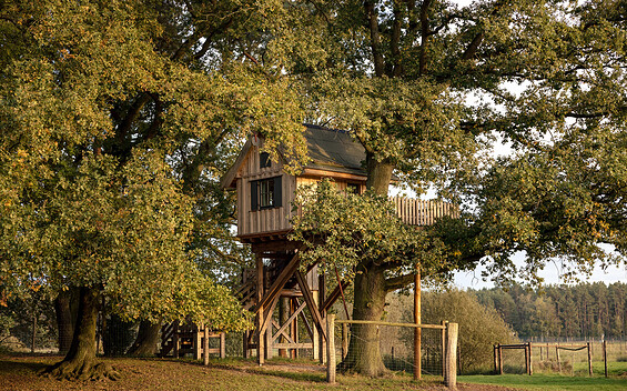 Baumhaus Hexenhaus, Foto: Lisa Wurth, Lizenz: Baumhaushotel Uckermark