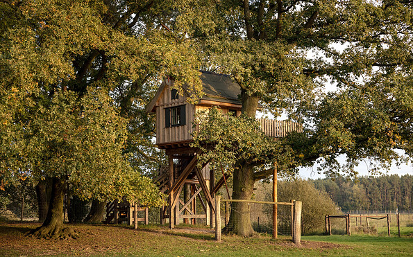 Baumhaus Hexenhaus, Foto: Lisa Wurth, Lizenz: Baumhaushotel Uckermark