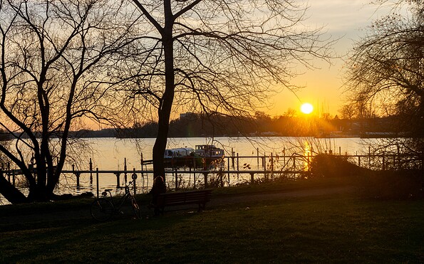 Abendstimmung auf Hermannswerder, Foto: Sophie Soike, Lizenz: PMSG