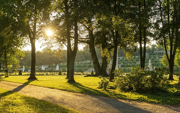 Abendstimmung im Park Sanssouci, Foto: Sophie Soike, Lizenz: PMSG