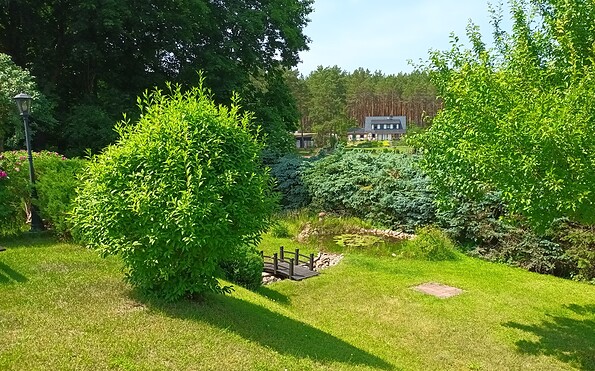 Garten mit Teich, Foto: T. Baugatz, Lizenz: T. Baugatz