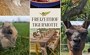 Freizeithof Tigermotte, Foto: Dagmar Gehrke, Lizenz: Freizeithof Tigermotte