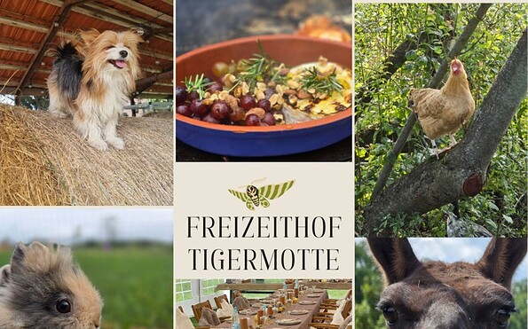 Freizeithof Tigermotte, Foto: Dagmar Gehrke, Lizenz: Freizeithof Tigermotte