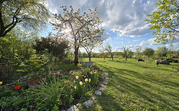 Garten, Foto: Dagmar Gehrke, Lizenz: Freizeithof Tigermotte