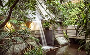 Waterfall Biosphere Potsdam, Foto: Carsten Haas, Lizenz: Biosphäre Potsdam