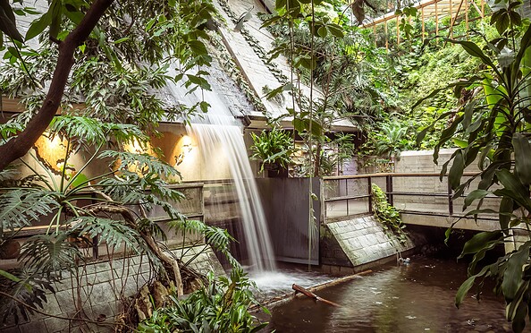 Waterfall Biosphere Potsdam, Foto: Carsten Haas, Lizenz: Biosphäre Potsdam