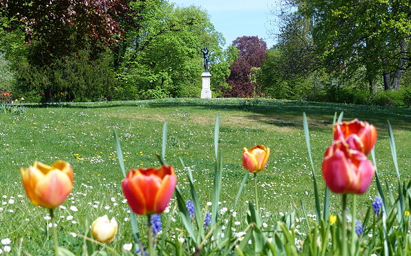 Lennépark in Frankfurt (Oder), Foto: Peter Gudlowski