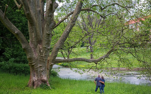 Lennépark in Frankfurt (Oder), Foto: Florian Läufer, Lizenz: Seenland Oder-Spree