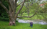 Lennépark in Frankfurt (Oder), Foto: Florian Läufer, Lizenz: Seenland Oder-Spree