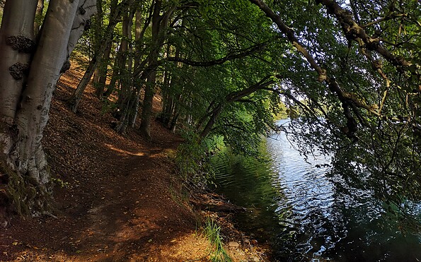 Uferpfad Feldberg , Foto: Merith Sommer, Lizenz: TMU GmbH