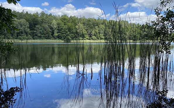 Libbesickesee, Foto: Alena Lampe, Lizenz: TMU GmbH