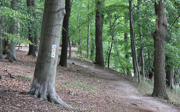 Uferweg am Wolletzsee, Foto: Alena Lampe, Lizenz: TMU GmbH