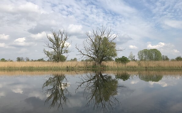 Aussicht auf die Westoder, Foto: Anet Hoppe, Lizenz: TMU GmbH