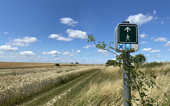 Märkischer Landweg vor Mescherin, Foto: Alena Lampe, Lizenz: TMU GmbH