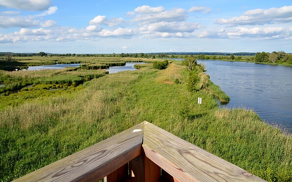 Aussicht ins Untere Odertal vom Aussichtsturm bei Mescherin, Foto: Anja Warning, Lizenz: TMU GmbH