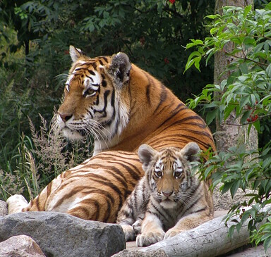 Zoologischer Garten Eberswalde , Foto: Rainer Schluttig