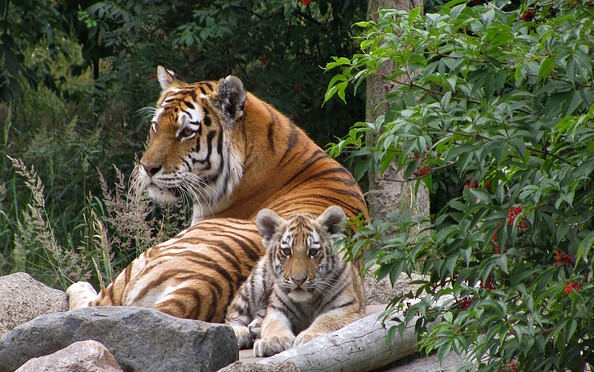 Zoologischer Garten Eberswalde , Foto: Rainer Schluttig