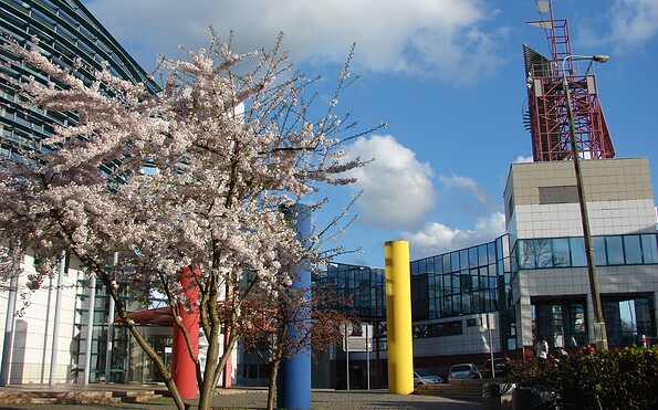 Collegium Polonicum wiosna, Foto: Anna Lysiak