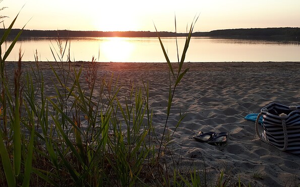 Großkoschen dog beach on Lake Senftenberg, Foto: Celine Klose, Lizenz: Celine Klose