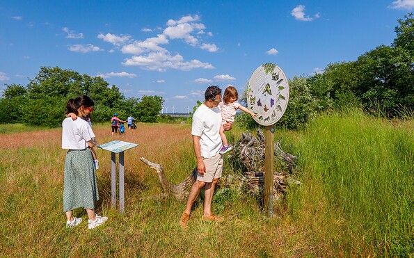 Schlichower Höhe - Aktivareal, Spielplatz &amp; Aussichtspunkt auf den Cottbuser Ostsee, Foto: Andreas Franke, Lizenz: Andreas Franke