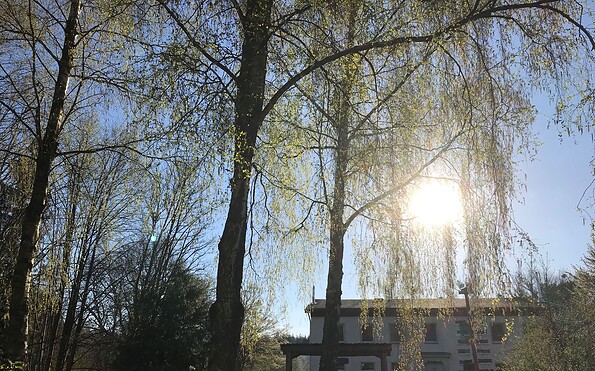 Kolbatzer Mühle Haupthaus, Foto: Anet Hoppe, Lizenz: TMU GmbH