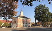 Historisches Rathaus Templin mit Markt, Foto: Anet Hoppe