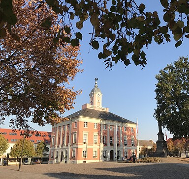 Historisches Rathaus Templin mit Markt, Foto: Anet Hoppe