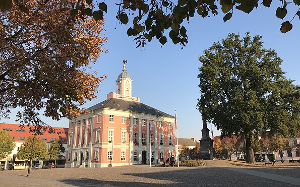 Historisches Rathaus Templin mit Markt, Foto: Anet Hoppe