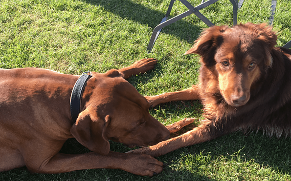 havelblau FERIENLOFTS, Foto: havelblau FERIENLOFTS, Lizenz: havelblau FERIENLOFTS