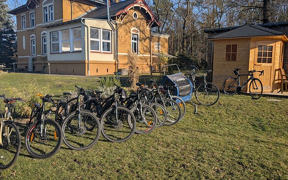 Fahrräder und Anhänger zum Ausleihen bei FamilyandBike, Foto: E. Grieger, Lizenz: Tourismusverband Lausitzer Seenland e.V.