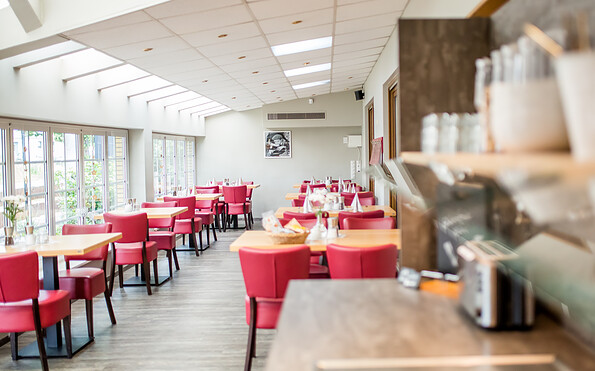 Wintergarten, Foto: Judith Usarek-Hinze