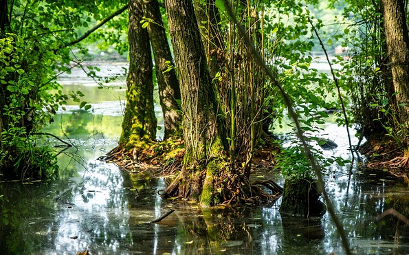 Wirchensee, Foto: Kopschproduction