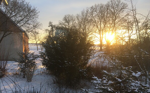 Dreesch7 in Dreesch, Foto: Christiane Lünskens