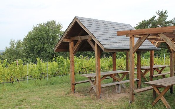 Weingut Klosterhof Töplitz, Foto: Weingut Klosterhof Töplitz, Lizenz: Weingut Klosterhof Töplitz