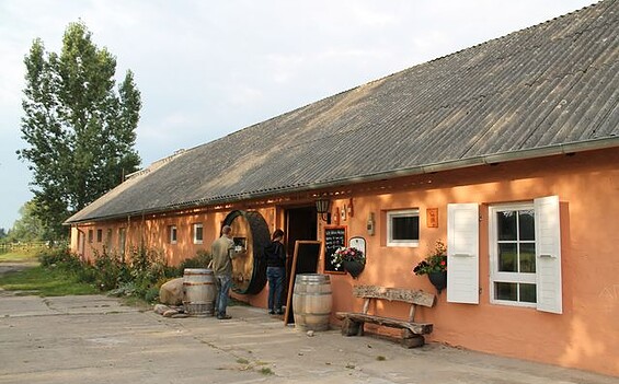 Weingut Klosterhof Töplitz, Foto: Weingut Klosterhof Töplitz, Lizenz: Weingut Klosterhof Töplitz