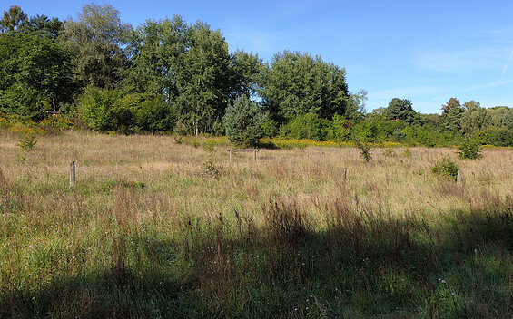 Höllengrund Pulverberg, Foto: Norman Siehl, Lizenz: Tourismusverband Dahme-Seenland e.V.
