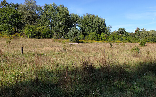 Höllengrund Pulverberg, Foto: Norman Siehl, Lizenz: Tourismusverband Dahme-Seenland e.V.