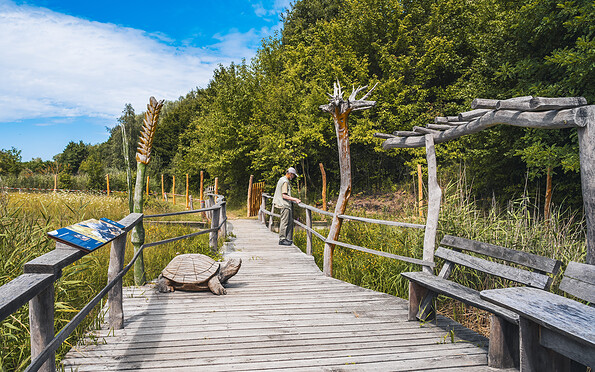 Sumpfschildkrötenanlage, Foto: Redek Kurzej, Lizenz: Redek Kurzej