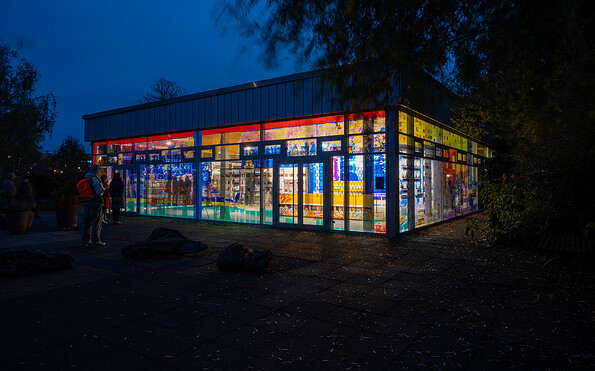 Ausstellungsansicht Sabine Hornig, Foto: Michael Lüder / BKV Potsdam, Lizenz: BKV Potsdam e.V.