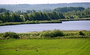 a pond near the Borcheltsbusch moor, Foto: Claudia Donat, Lizenz: Naturpark Niederlausitzer Landrücken