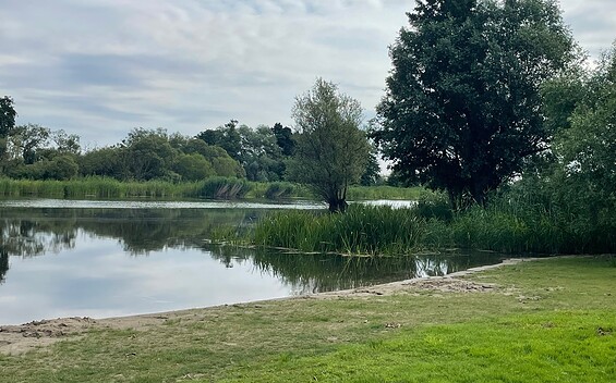 Badestelle Grütz, Foto: Claudia Hesse, Lizenz: Natur- und Sternenpark Westhavelland