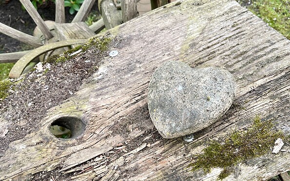 Grüner Waldd...mit Herz, Foto: Grüner Wald Spreewald Apartments, Lizenz: Grüner Wald Spreewald Apartments